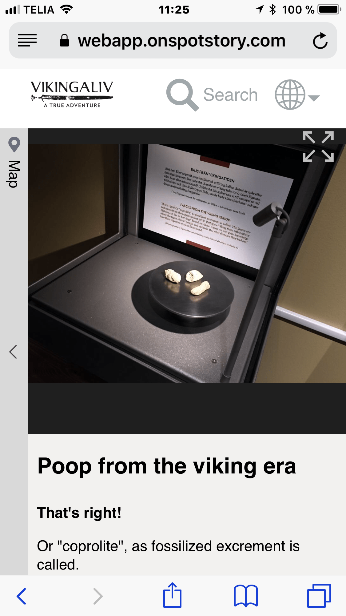 vikingalivs guide showing viking poop