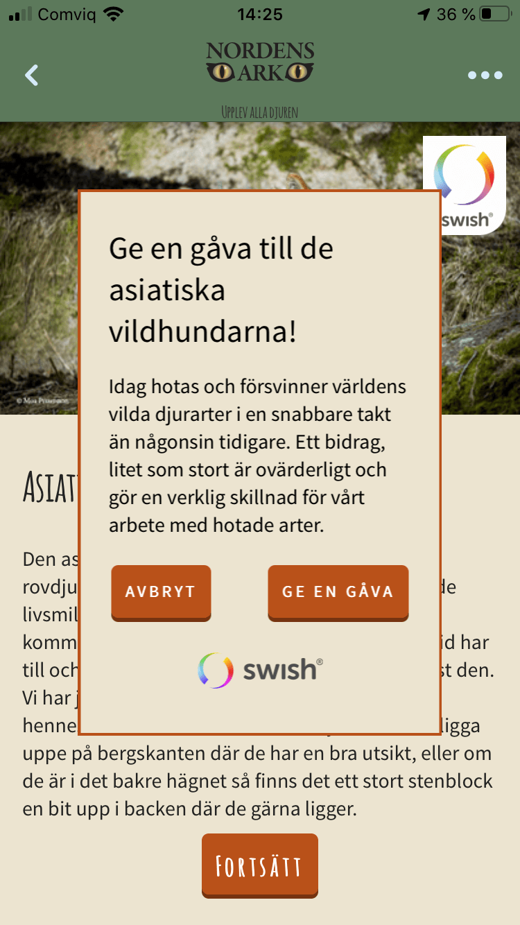 swish in app
