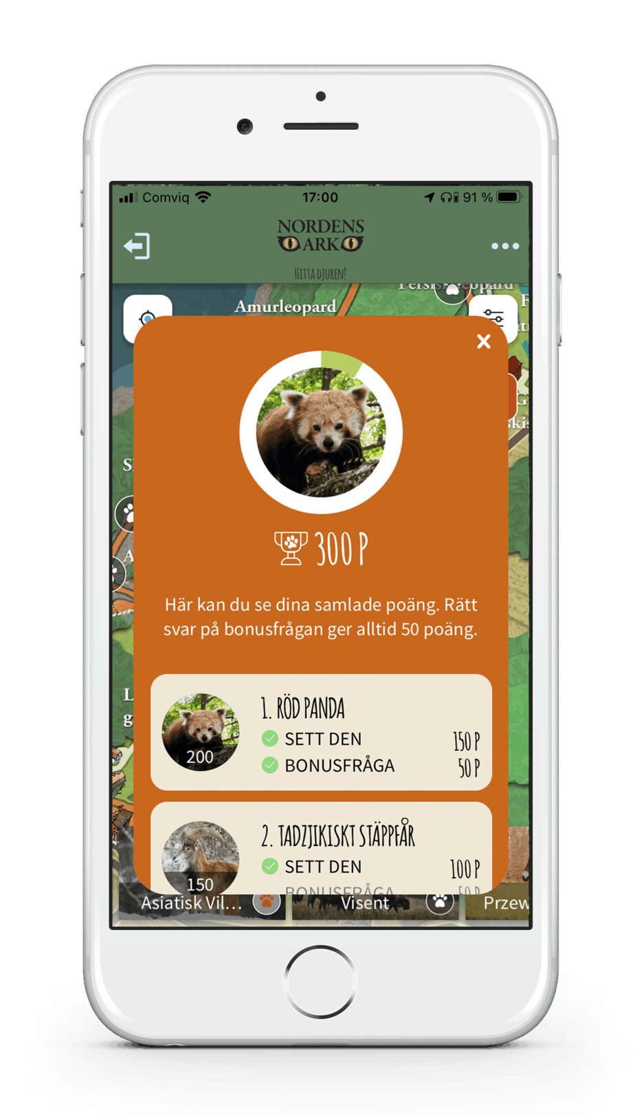 mobile with gamification in app